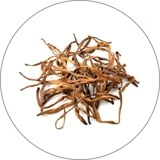 Shatavari extract